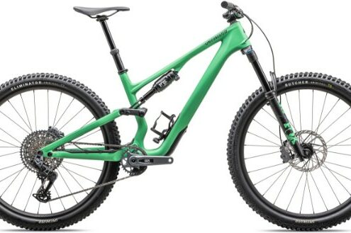 Specialized Stumpjumper 15 Expert Mountain  2025 - Trail Full Suspension MTB