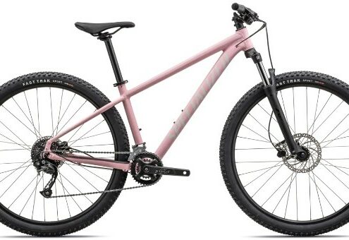 Specialized Rockhopper Sport 29 Mountain  2023 - Hardtail MTB