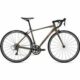 Giant Liv Avail 2 Womens Road Bike