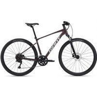 Giant Roam 2 Disc Sports Hybrid Bike  2024 X-Large - Gloss Charcoal Plum/Silver