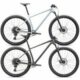 Specialized Chisel Hard Tail 29er Mountain Bike 2025