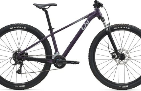 Liv Tempt 3 Mountain  2025 - Hardtail MTB