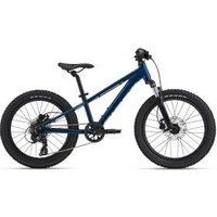 Giant Stp 20 Kids Mountain Bike  2024