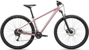 Specialized Rockhopper Sport 29 - Nearly New - XL